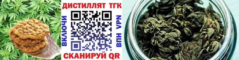 нарко площадка наркотические препараты  Шарья  Cannafood марихуана  купить наркотики цена 