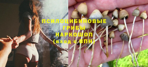 мяу мяу мука Балахна